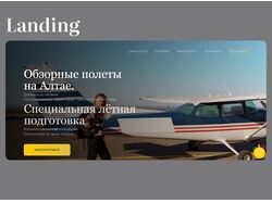 Обзорный полеты на самолёте