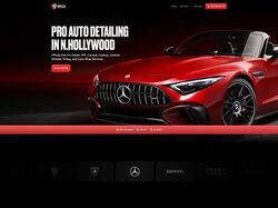 HTML верстка и посадка на Wordpress https://bgidetailing.com/