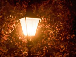 lamp