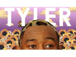 Баннер Tyler