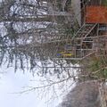 Basket2212_