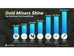 Gold Miners Shine