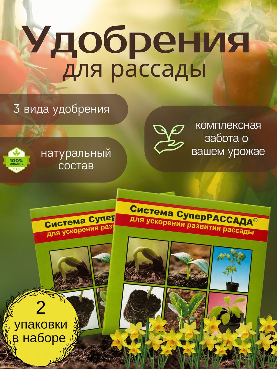 Добавить подзаголовок_20250402_142545_0000.png