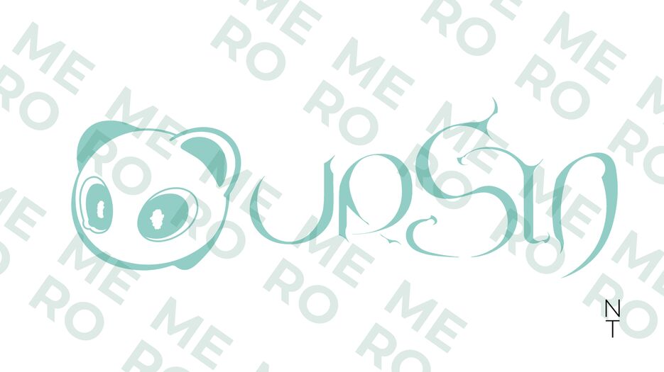 URSIN (1).png