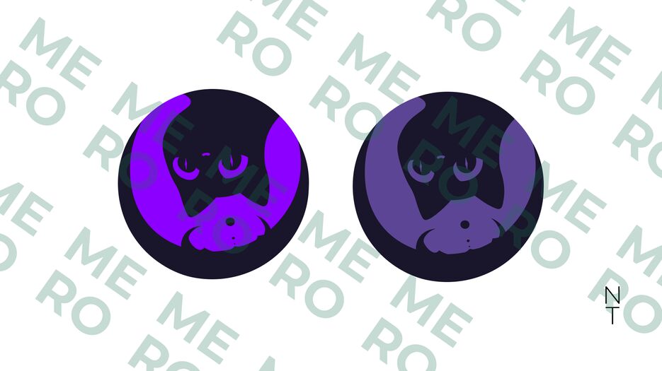 SALVI (2).png