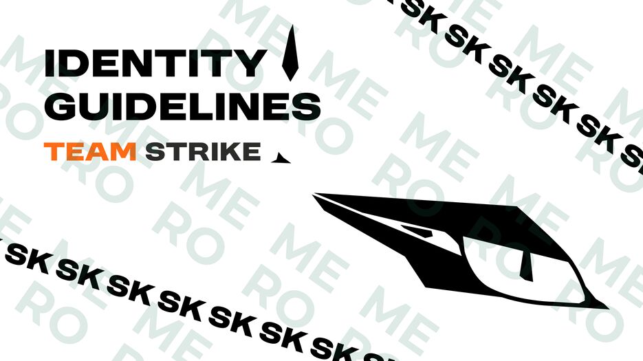 brand book (6).png