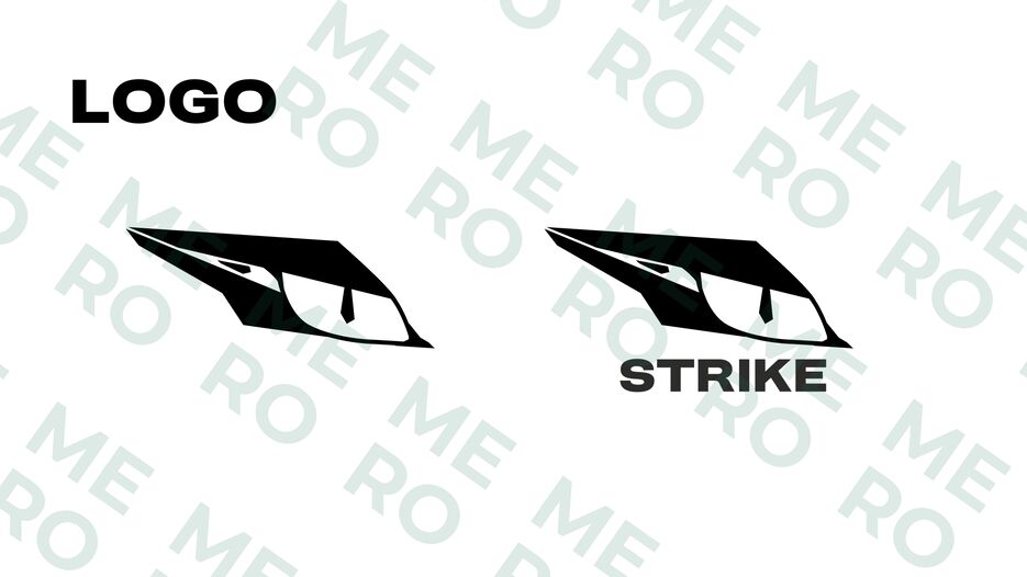 brand book (7).png