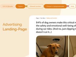 Advertising Landing Page: Dog-friendly