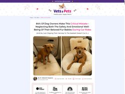 Лендинг Vets and Pets