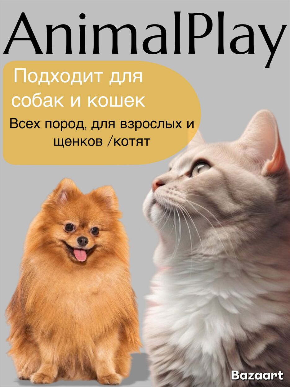 IMG_3366.jpeg