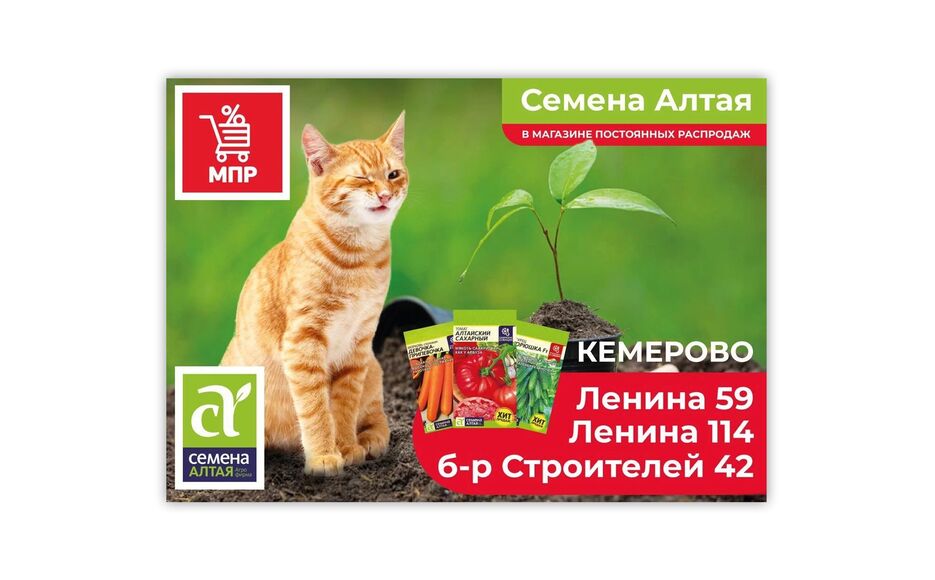 Листовка 4.png