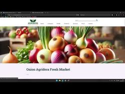 вёрстка (html/css/vue js)