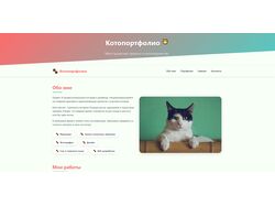 Котики