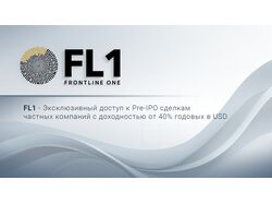 FrontLine One небольшая презентация