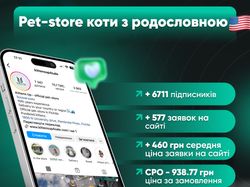 SMM: KittensUp4Sale - международное продвижение породистых котят в США