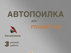 Инфографика