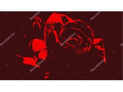 Vector art "Bloody Rose"