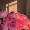Anna_Redaktor