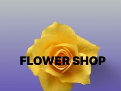FLOWER SHOP