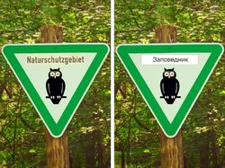 Письменный перевод документов и файлов