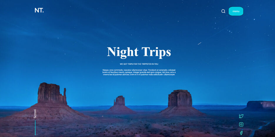Night-Trips.jpg