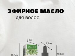 Инфографика 