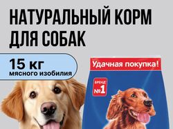 Инфографика