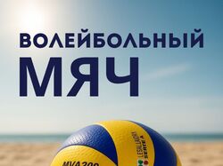 Волейбольные мячи
