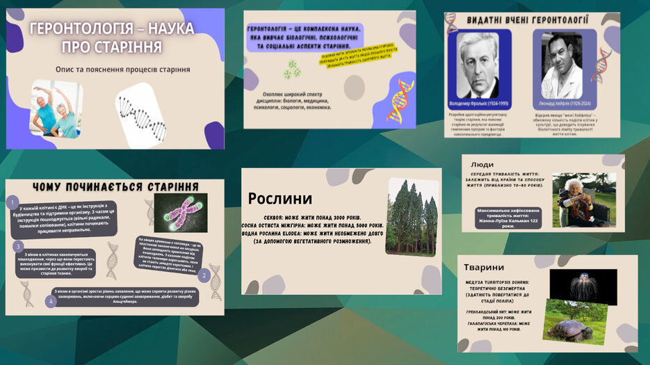Презентація З Дослідження Геронтології.jpg