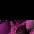 Irina_1099298852