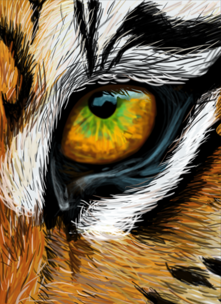 tiger eye.png