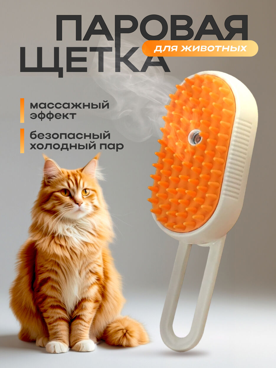паровая щетка.jpg