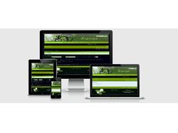 Forum for the Store "Nereida" (First Version)