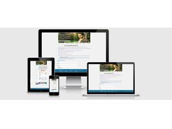 Radiation Diagnostics Silin
