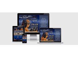 Breeding Kennel of Chinese Line Tibetan Mastiffs