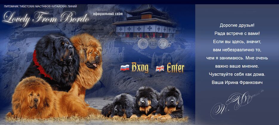 FireShot Capture 012 - Вход I ПИТОМНИК ТИБЕТСКИХ МАСТИФОВ КИТАЙСКИХ ЛИ_ - http___dogtibetmastiff.ru_.png