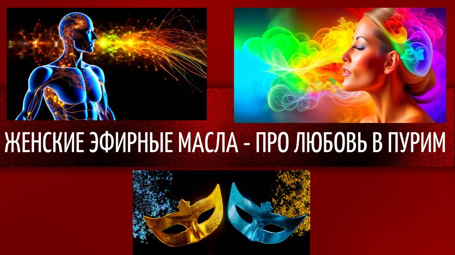 Red Modern Multipurpose YouTube Banner.png