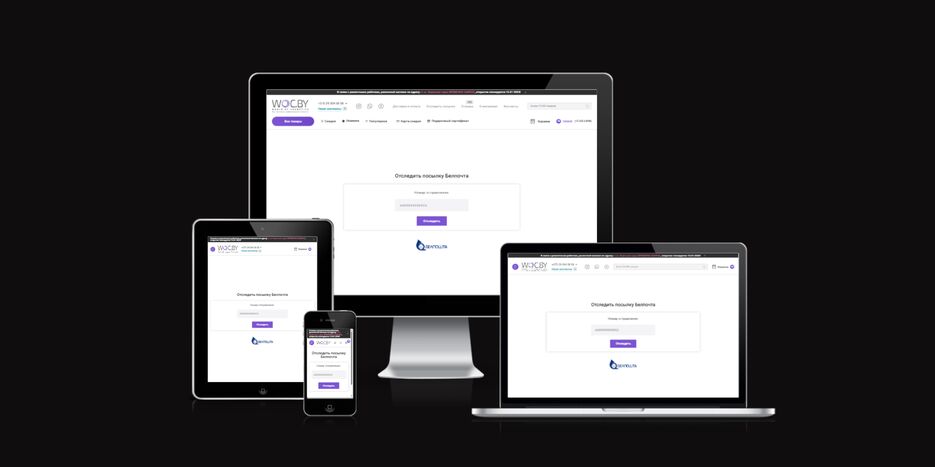 ui.dev_amiresponsive (5).png