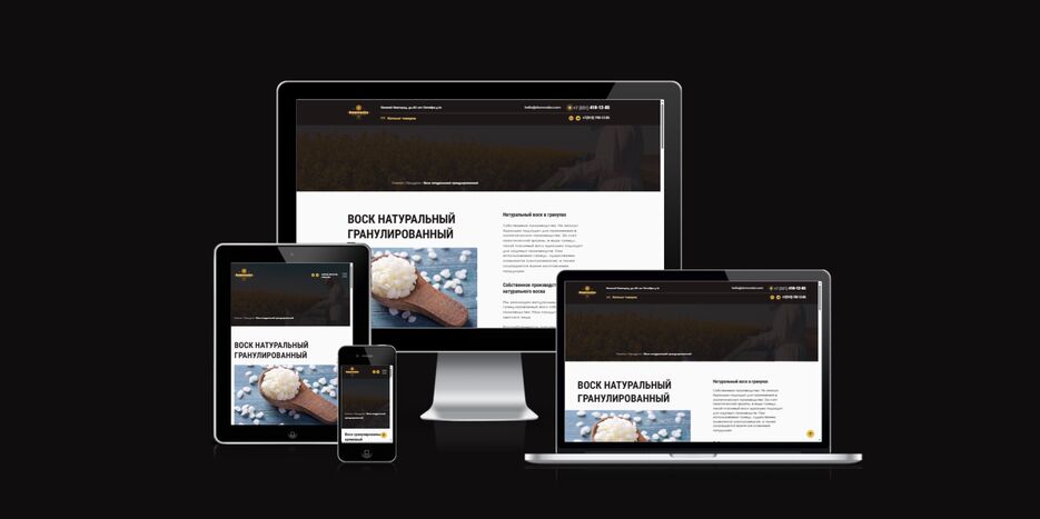 ui.dev_amiresponsive (1).png