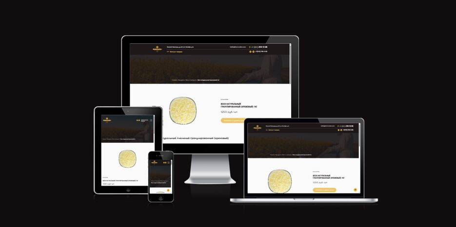 ui.dev_amiresponsive (2).png