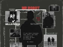 Mr.Robot