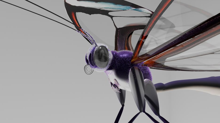 0034.png