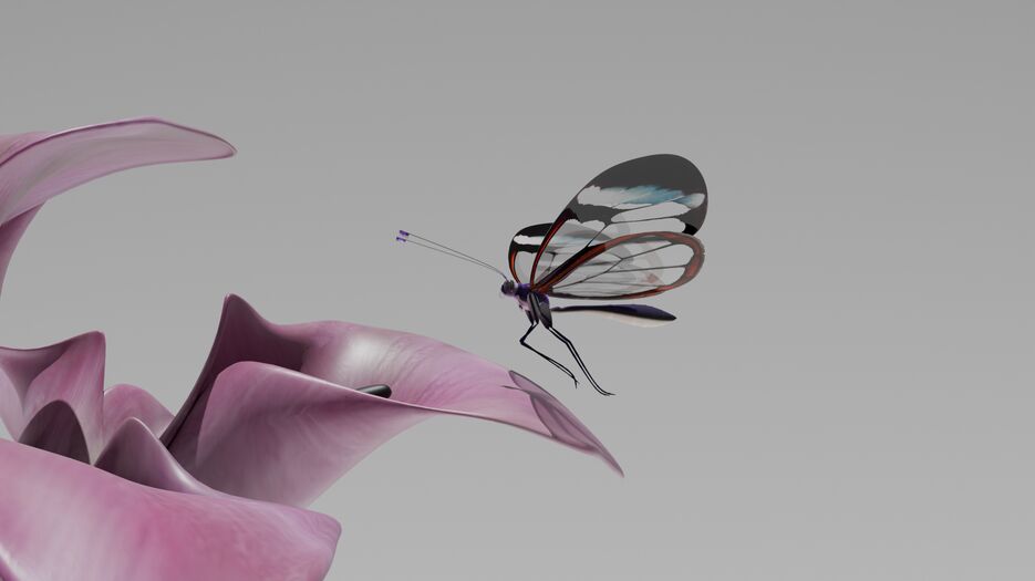 0116.png