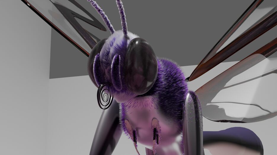 0156.png