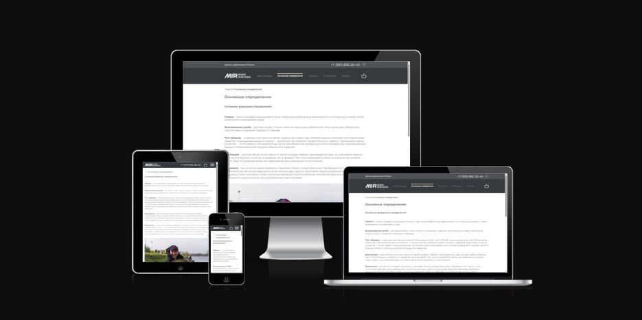 ui.dev_amiresponsive (3).png