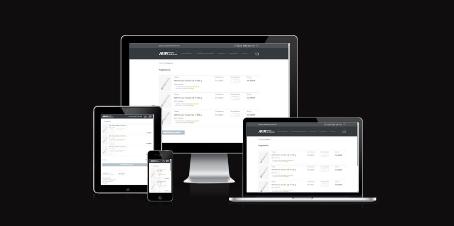 ui.dev_amiresponsive (8).png