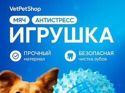 Дизайн инфографики