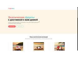 Лендинг для магазина экзотических фруктов