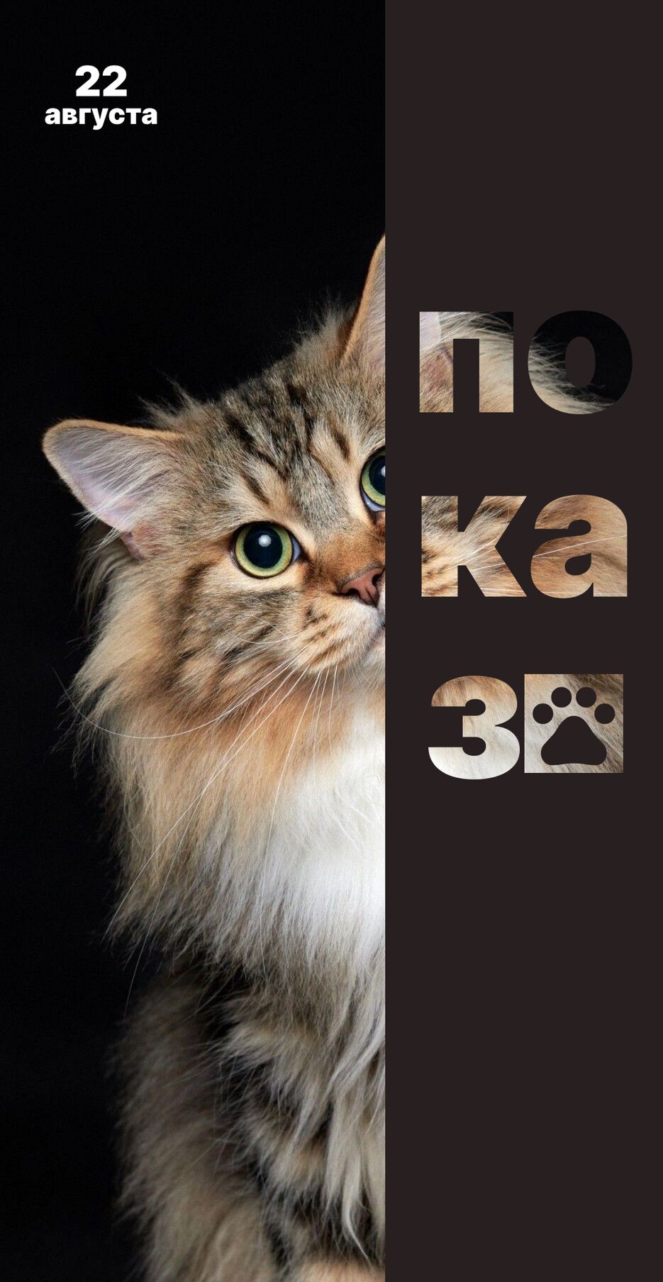Untitled (30).png