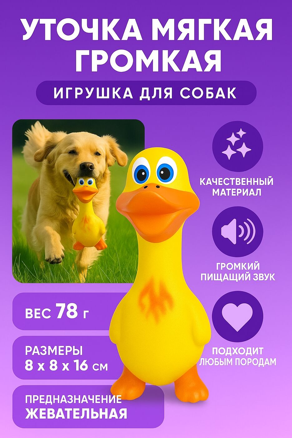 IMG_9398.png